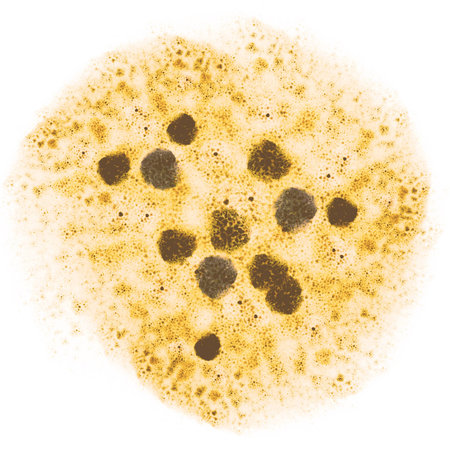 colored yellow dust explosion isolated on white