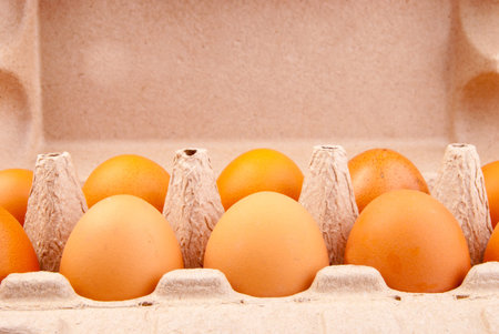 ten chicken eggs in the container on wood, background with space for text