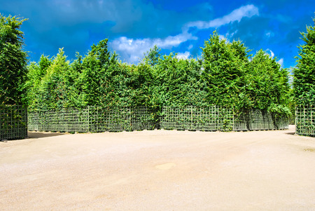 Regular garden with bosquets, sky and sandの写真素材
