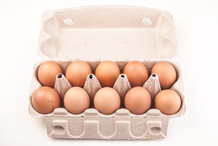ten chicken eggs in the container, isolated on white background