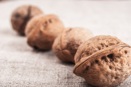Four brown greek nuts on textured textile backgroundの写真素材