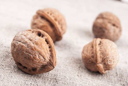 Four brown greek nuts on textured textile background