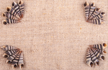 frame with little seashells on rough textile