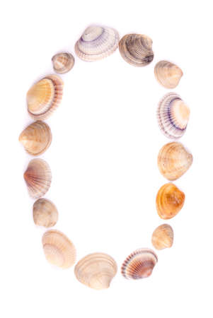 Seashells isolated on whiteの写真素材