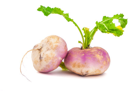 Ripe turnip isolated on whiteの写真素材