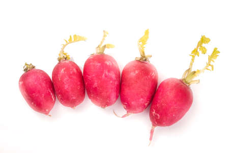 fresh radish isolated on whiteの写真素材