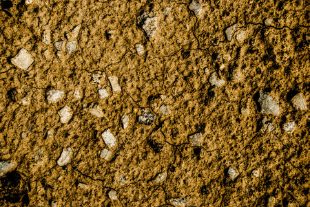 Dry soil in arid areas