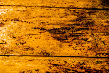 grungy tree textureの写真素材