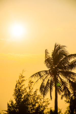tropical resort with beach and palms at sunset, beautiful sky with cloudsの写真素材