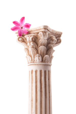 Classical column with flower isolated on white background, conceptual metaphor for love, stable relationship, and affection.の写真素材