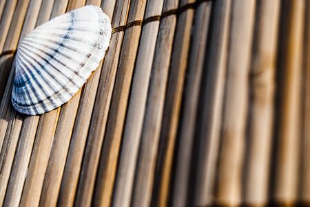 little seashells on wooden mat, close upの写真素材