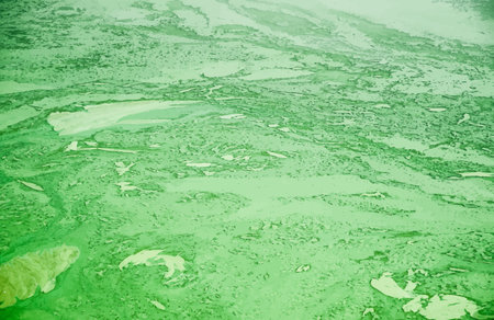Abstract organic texture. Background texture for themes of environment and nature. Grungy wallpaper.