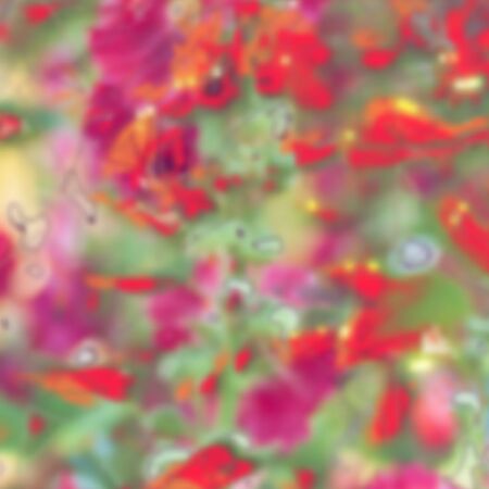 Malva (Alcea rosea hollyhock) flowers in a garden. Gorgeous floral background for holidays, beauty and nature.のイラスト素材