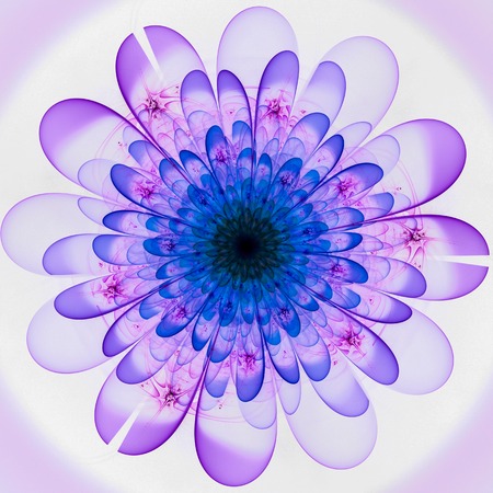 Macro closeup of fractal flower, digital artwork for creative graphic design. Colorful texture with floral pattern. Digitally created artwork.の写真素材