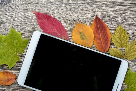 White modern tablet pc with blank empty screen on rustic vintage wood background with autumn leaves. Concept of season and technology, nature and computrs design template with place for image and textの写真素材