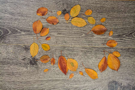 Circle of autumn leaves on old grey wood. Seasonal background or wallpaper with bright vivid colors.の写真素材