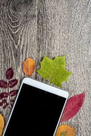 White modern tablet pc with blank empty screen on rustic vintage wood background with autumn leaves. Concept of season and technology, nature and computrs design template with place for image and textの写真素材