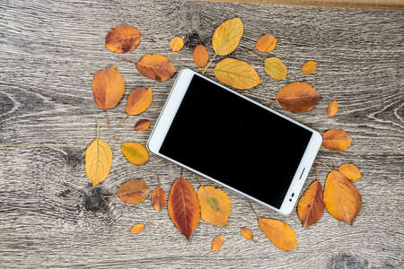 White modern tablet pc with blank empty screen on rustic vintage wood background with autumn leaves. Concept of season and technology, nature and computrs design template with place for image and textの写真素材