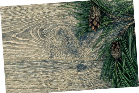 Christmas fir tree with cones on a wooden background, selective focus and place for text. Tonedの写真素材