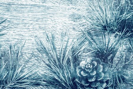 Christmas fir tree with cones on a wooden background, selective focus and place for text. Tonedの写真素材