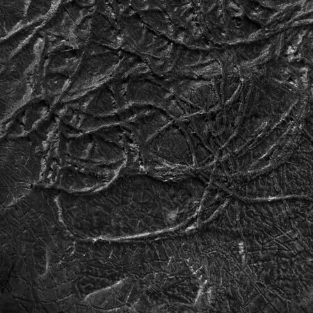 Abstract background with biological patternの写真素材