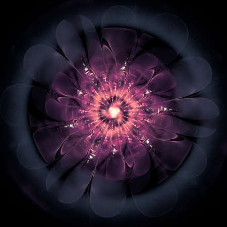 Macro closeup of fractal flower, digital artwork for creative graphic designの写真素材