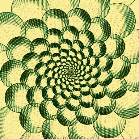 Stylized flower with engraving effect. Vector ornament.の写真素材