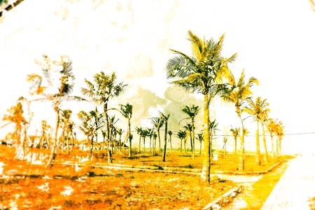 Palms against blue sky on a beach. Modern painting, background illustration.の写真素材