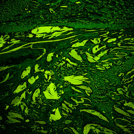 Oil paint texture. Grunge background. Fragment of artwork Abstract art background. Oil painting on...