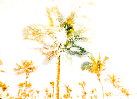 Palms against blue sky on a beach. Modern painting, background illustration.の写真素材