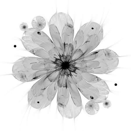 Macro closeup of fractal flower, digital artwork for creative graphic designの写真素材