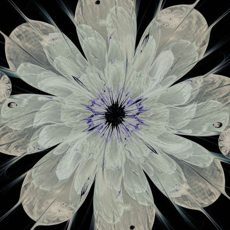 Macro closeup of fractal flower, digital artwork for creative graphic designの写真素材
