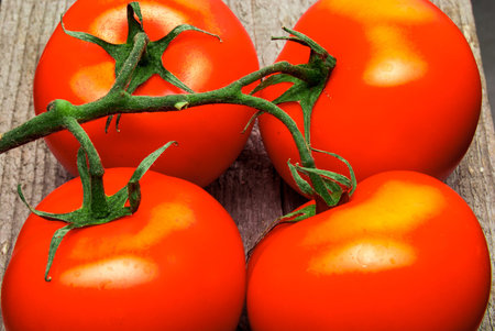 Fragment of Red tomatoes on a brunch woodの写真素材