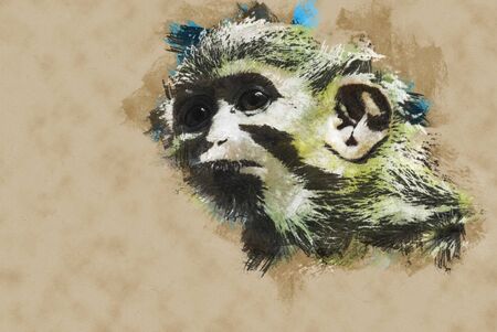 A Yellow monkey lying up on a tree branch. Vintage painting, background illustration, beautiful picture, travel textureの写真素材