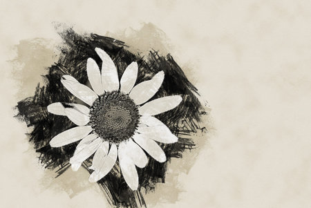 One sunlit Daisy in green meadow. Vintage painting, background illustration, beautiful picture, travel textureの写真素材