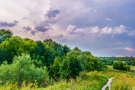 Pathway on a hill with wildflowers. Beautiful natural landscape at sunset with green grass, flowers and cloudy sky. Image of travelling and adventure in countryside. Great outdoors picture.の写真素材