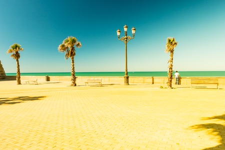 Palm trees along the coast in Cadiz at beautiful sunny day. Image of tropical vacation and sunny happiness. Filtered vintage photo.の写真素材