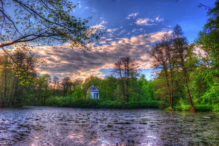 Summer landscape. Green trees around the lake. The bright colors of nature in the park by the lake.