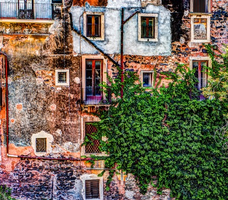 Fragment of red vintage old brick wall with windows and green ivy. Textural background.の写真素材