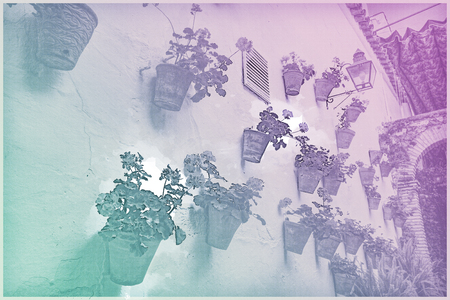 Beautiful White Walls Decorated with Colorful Flowersの写真素材