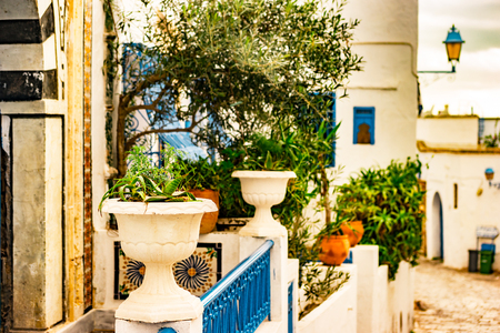 Sidi Bou Said, famouse village with traditional tunisian architecture.の写真素材