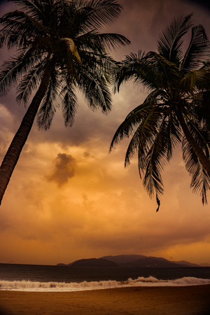 Silhouette of palm tree at beautiful tropical sunsetの写真素材