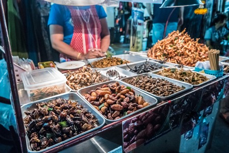 Fried insects on the streets of Bangkok, Thailandの写真素材