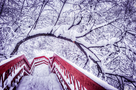 Japanese red bridge with snow and bendig tree during winterの写真素材