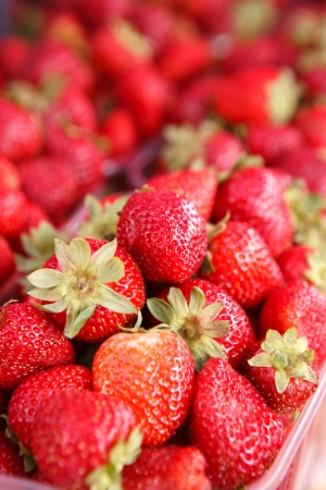 Gathered strawberries - photography of red strawberries in a transparent plastic cupの写真素材