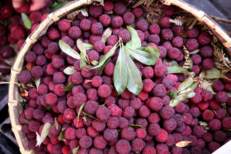 Lychee fruit - photography a lot of tropical fruit at marketの写真素材