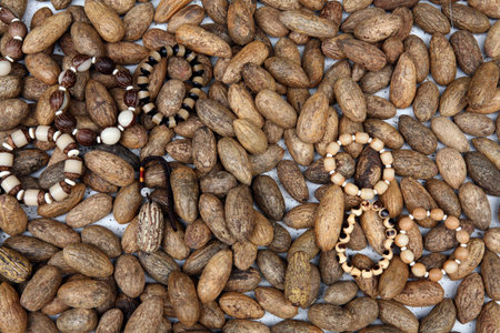 Rosary beads and nutmeg - photography a lot of tropical fruit at market
