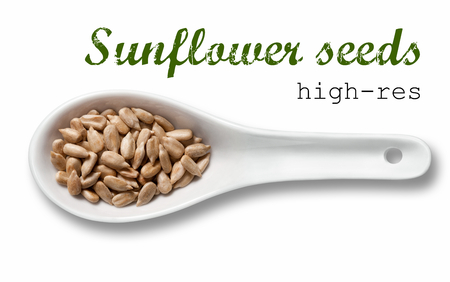 Peeled sunflower seeds in white porcelain spoon / high resolution product photography of seed in white porcelain spoon over white background with place for your textの写真素材