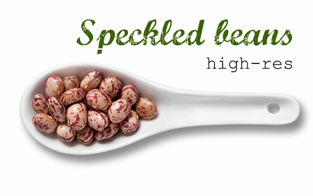 Speckled beans in white porcelain spoon / high resolution product photography of seed in white porcelain spoon over white background with place for your textの写真素材