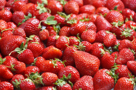 Deluxe Strawberry. Close up, high resolution product. Harvest Conceptの写真素材